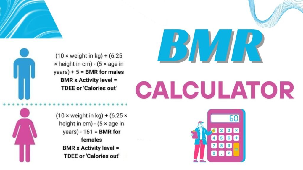 BMR Calculator